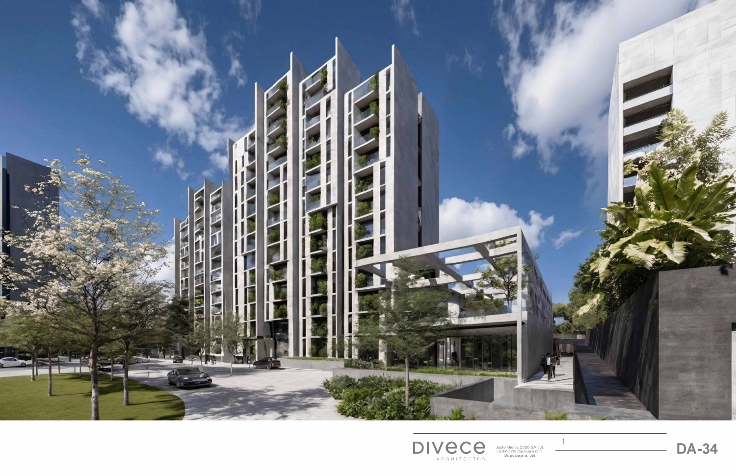 Entrebosques T6